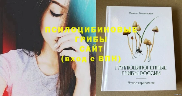 трава Армянск