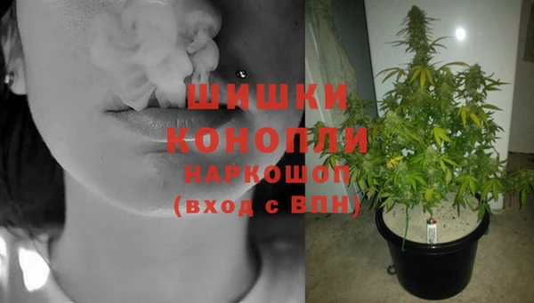 каннабис Аркадак
