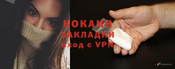 дживик Арсеньев