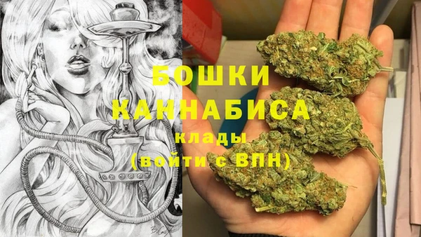 дживик Арсеньев